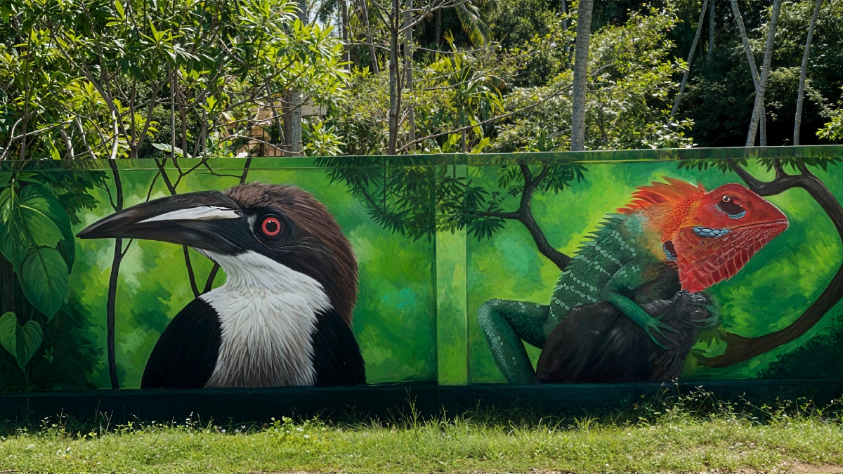 Grey Hornbill and Lizard Wildlife Mural - Professional Animal Wall Art