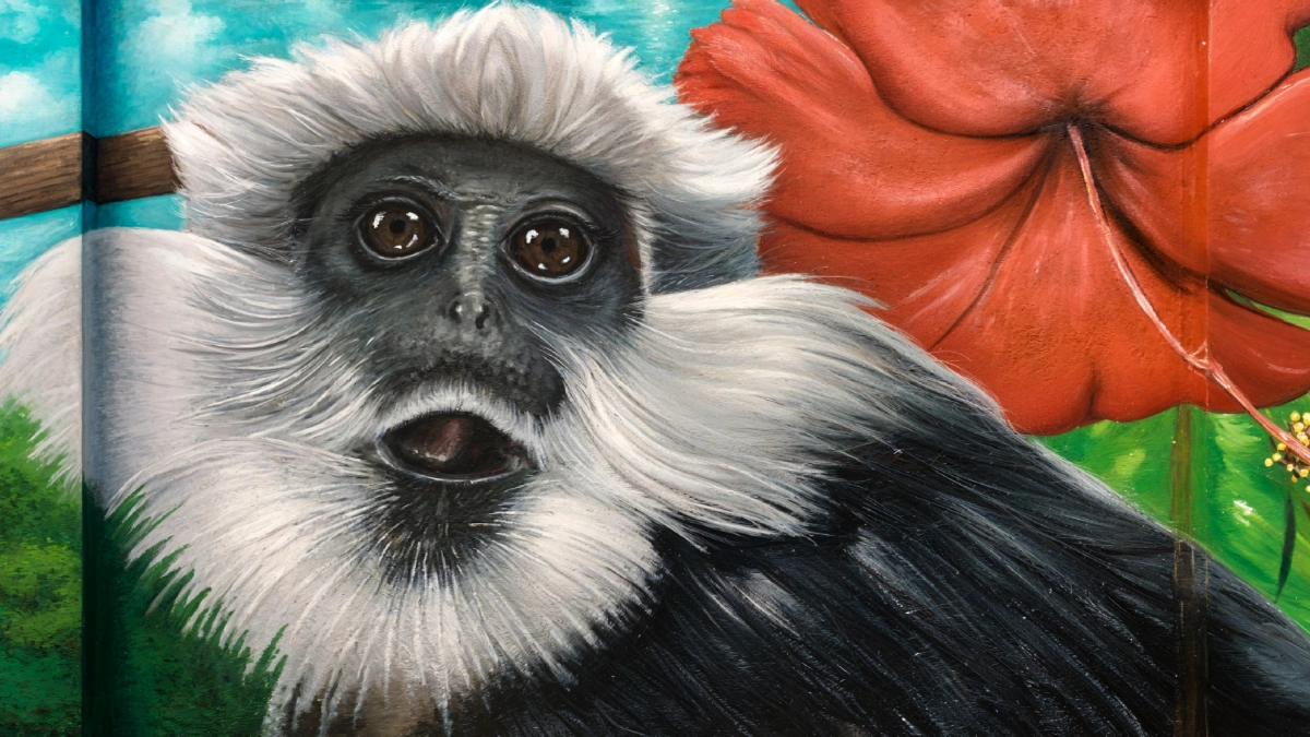 Detailed Monkey Portrait Mural - Realistic Animal Wall Art Sri Lanka