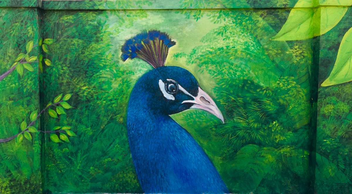 Majestic Peacock Mural - Colorful Bird Wall Painting Sri Lanka